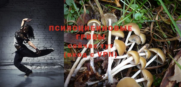 круглые Белокуриха